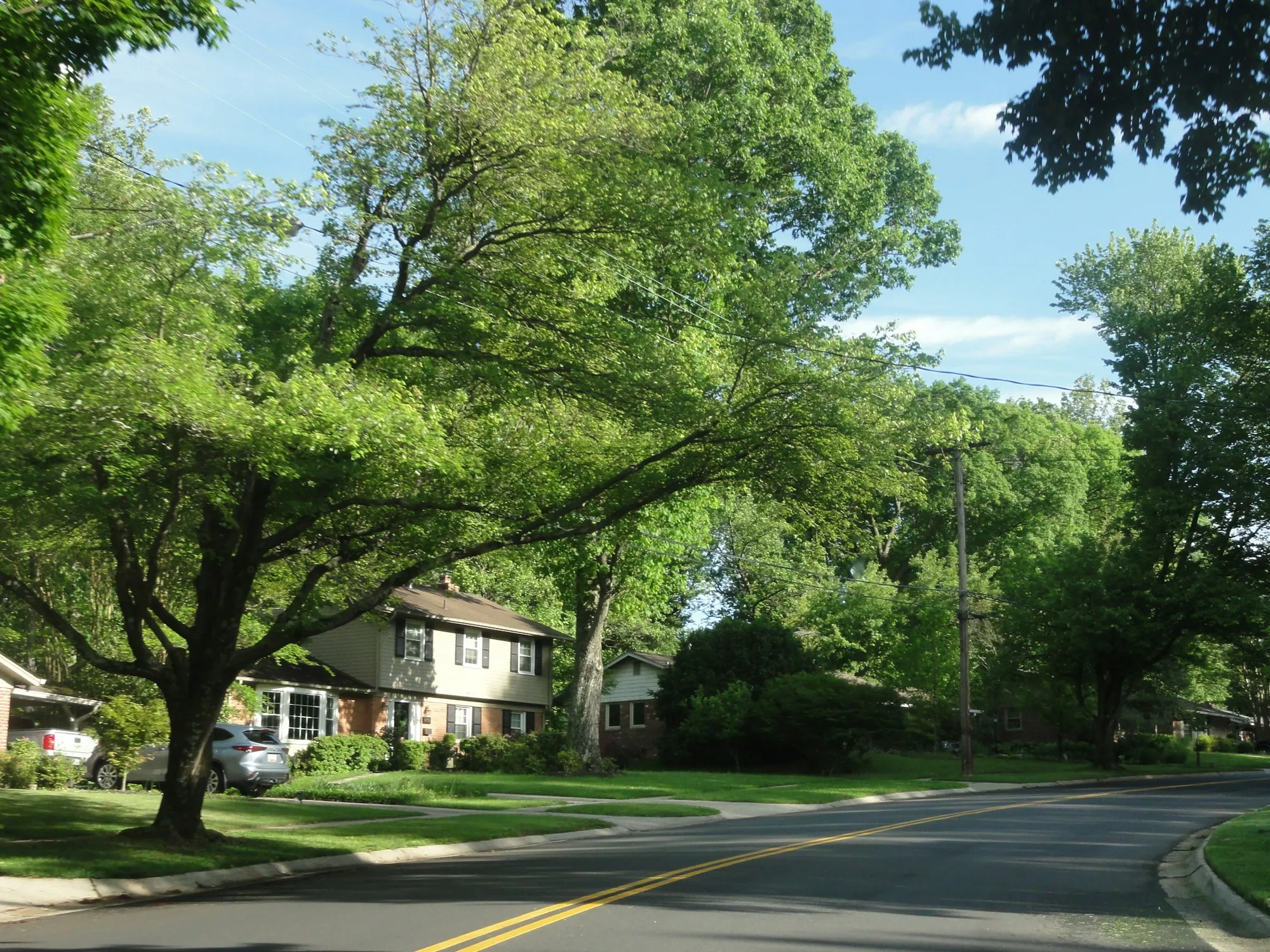 Quiet tree-lined residential street on a sunny day